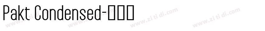 Pakt Condensed字体转换